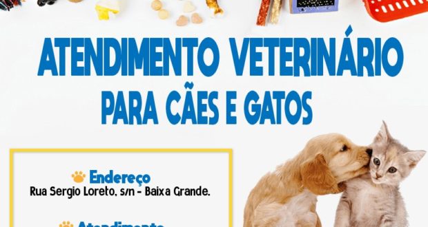 A Prefeitura de Pesqueira oferece assitência de Saúde para cães e gatos em um  Posto especializado para estes animais