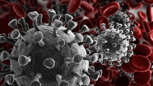 Coronavírus: veja dados do Agreste, Mata Sul e Sertão, e como ficam os serviços durante a pandemia