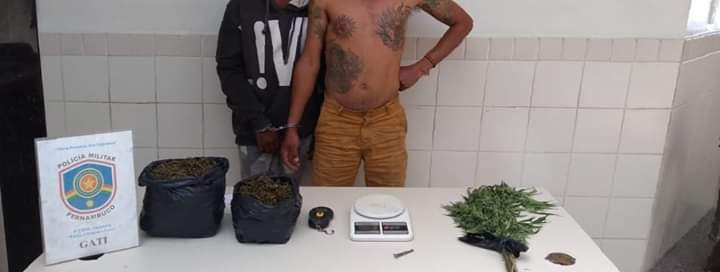 Polícia encontra Plantação de Maconha e Tráfico da Droga em Sítio da Serra do Ororubá aqui em Pesqueira