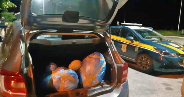Três homens e uma mulher são detidos com drogas e arma, em São Caetano; 54,6 kg de maconha foram apreendidos