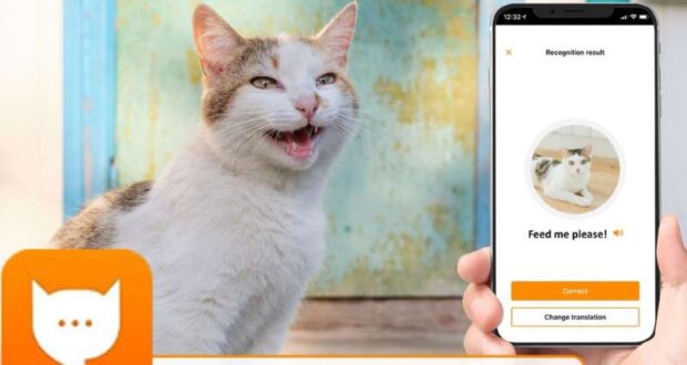 Agora você já pode saber o que seu gato diz, é só ter este aplicativo no seu celular. Veja esta Matéria do MSN!