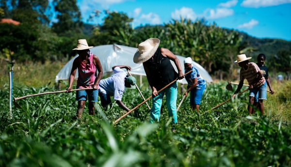 Nove municípios se unem para fortalecer agricultura familiar e agroecologia no Pajeú