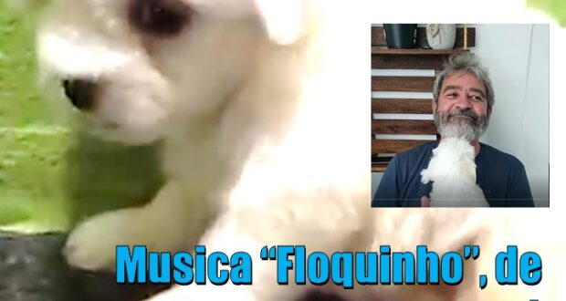 Cachorro olindense  e Compositor pesqueirense viralizam, na Internet, com música dedicada a ele