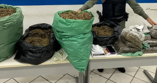 Polícia Militar apreende 45kg de maconha em Toritama